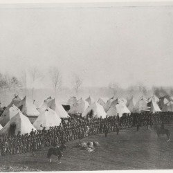 camp1000.jpg