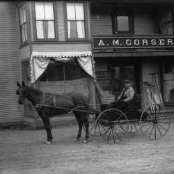 Horse and wagon 1900