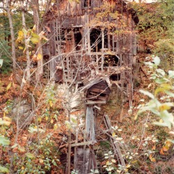 thwing1985.jpg